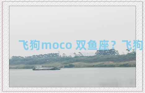 飞狗moco 双鱼座？飞狗moco橘座